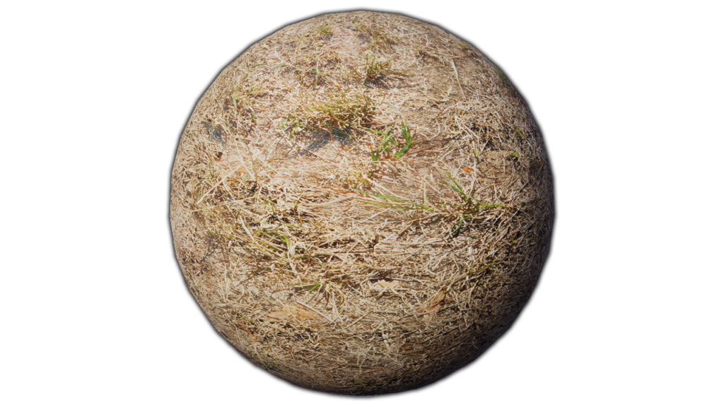 Dry Grass PBR Material GetAssets